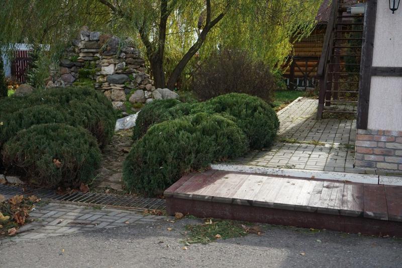Художественная стрижка (топиар) кустов и деревьев Художественная стрижка (топиар) кустов и деревьев