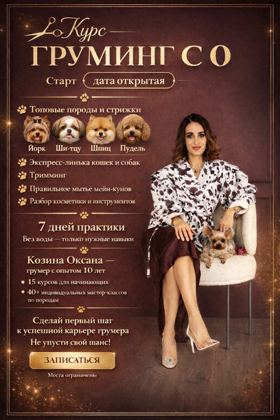 Обучение грумингу Саратов (для начинающих)