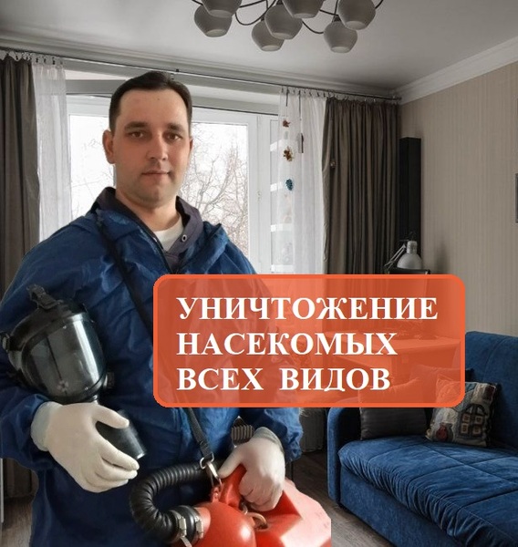 Уничтожение клещей, тараканов, клопов, муравьёв Уничтожение клещей, тараканов, клопов, муравьёв