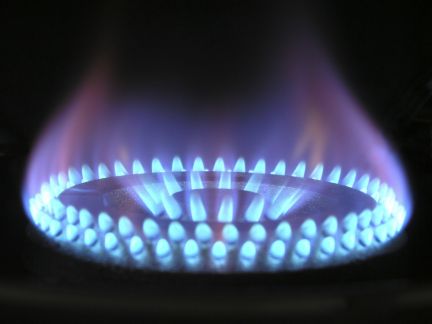 Ремонт газовых и электрических котлов, промывка те