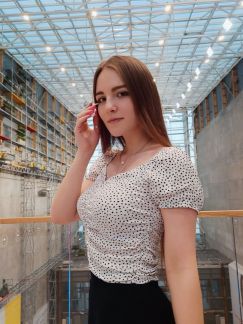 Няня на новогодние праздники