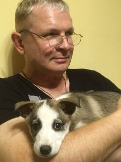 Оказываю услуги авто-няни