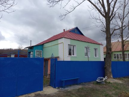Покраска крыш, очистка шифера