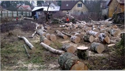 Разнорабочие 24 ч Разнорабочие 24 ч