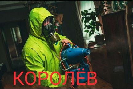 Дезинфекция уничтожение клопов, тараканов,блох,шер