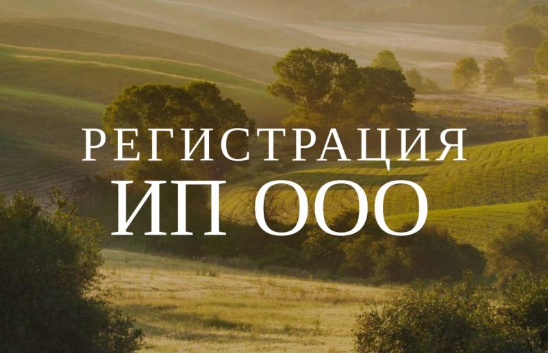 Регистрация ИП и ООО для бизнеса