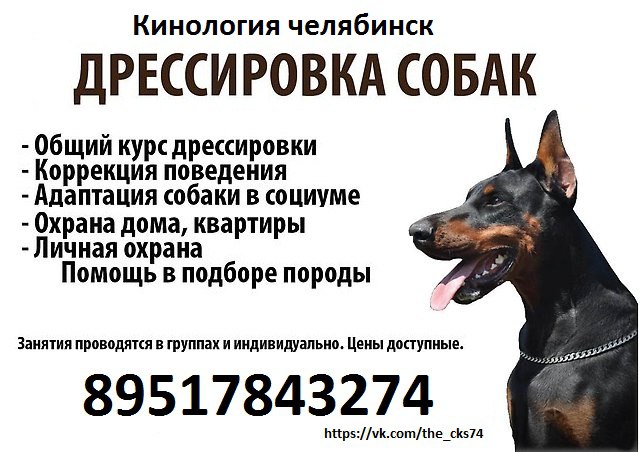 Дрессировка собак от Кинологии Челябинск Дрессировка собак от Кинологии Челябинск