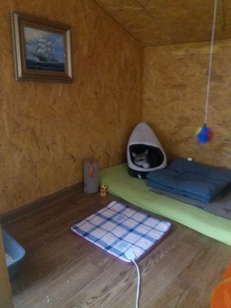 Передержка. Мининомера для кошечек