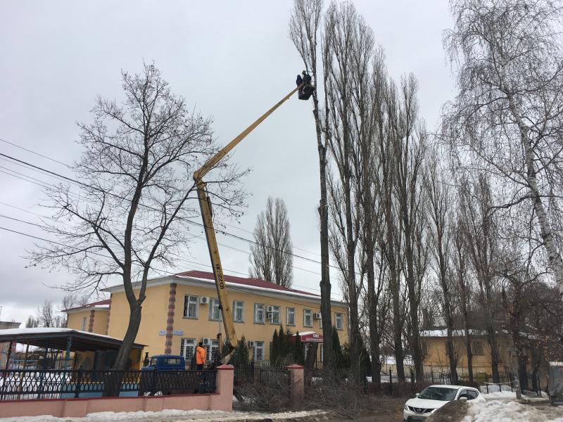 Услуги по спиливанию деревьев