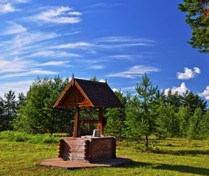 Копка колодцев и септиков. Чистка, ремонт. ЯрКольцо.