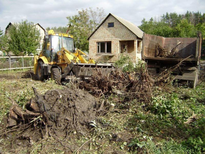 Расчистка, облагораживание участков