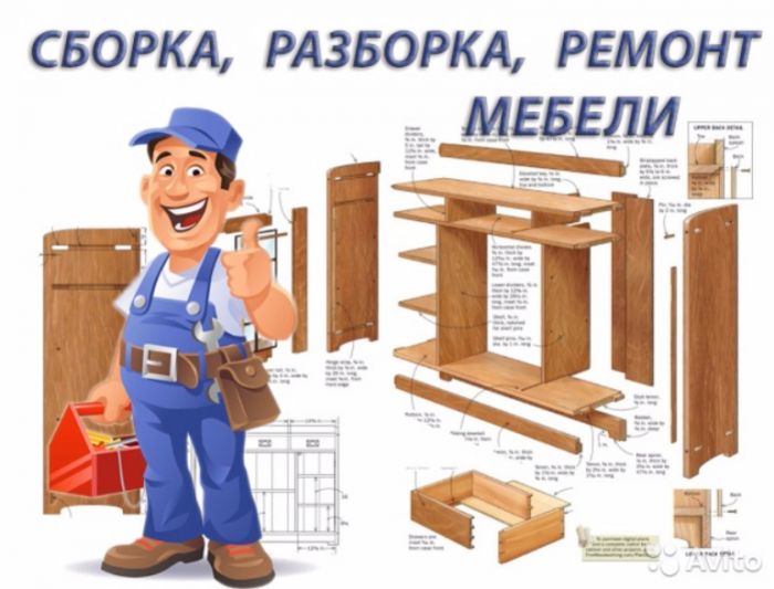Мастер профисеонал. Мастер профисеонал.