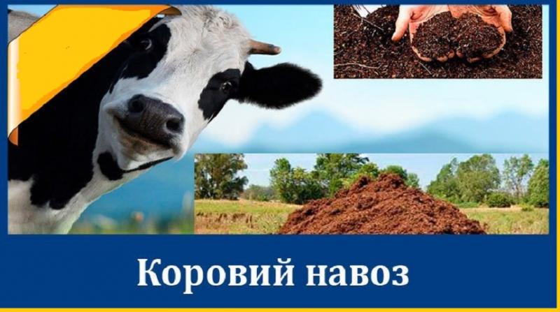 Продам навоз перегнивший в мешках. Перегной ДЕШЕВО