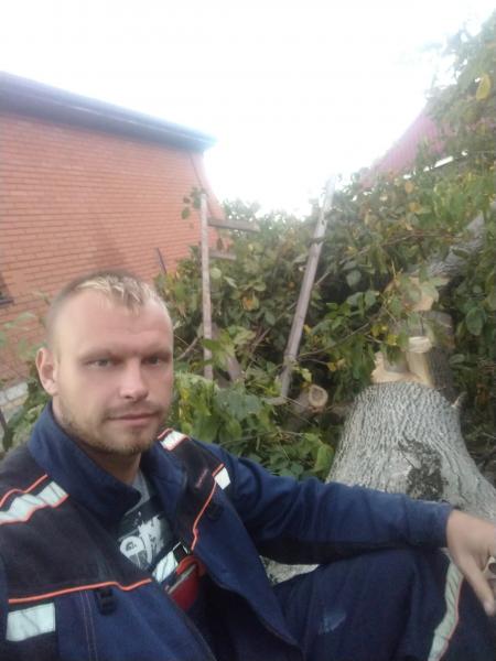 Спил деревьев+ расчистка участка+вывоз