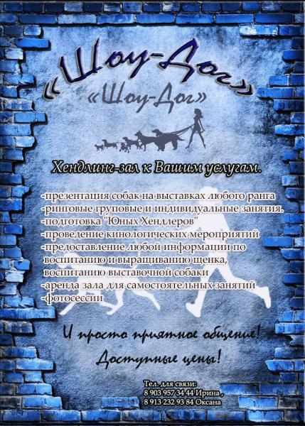 Дрессировка собак, услуги хендлера.
