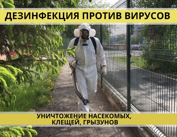 Дезинфекция Дератизация Дезинсекция