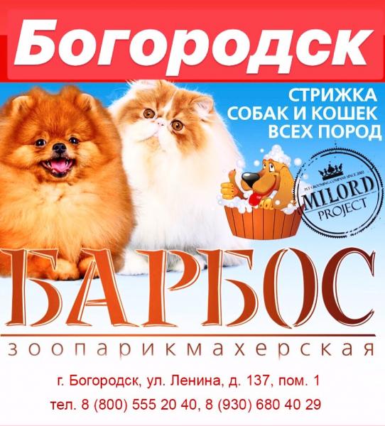 Стрижка собак и кошек в зоосалоне Барбос