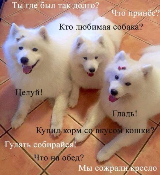 Гостиница 